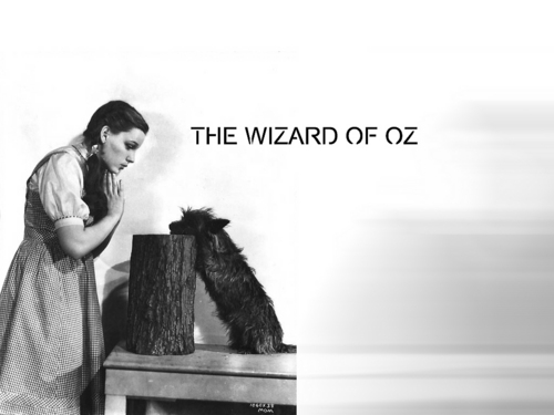 the wizards of oz