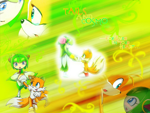  tails & cosmo 2