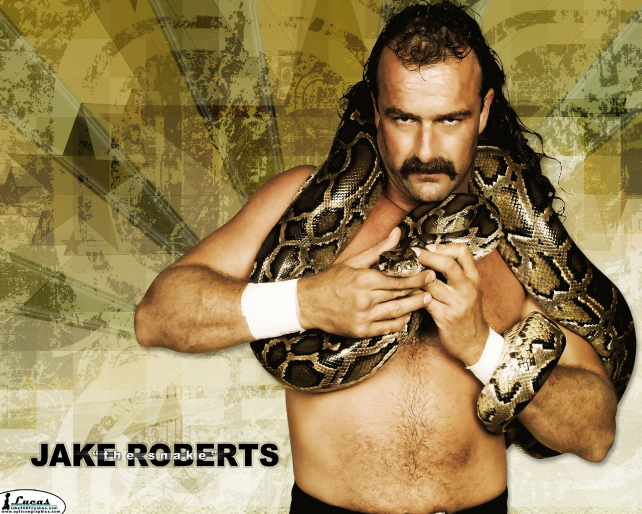 Jake The Snake Roberts Classic Wwf Professional Wrestling