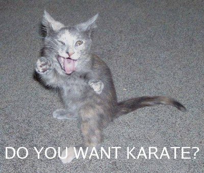  Karate?
