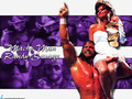 professional-wrestling - Randy " The Macho Man " Savage - Classic WWF wallpaper