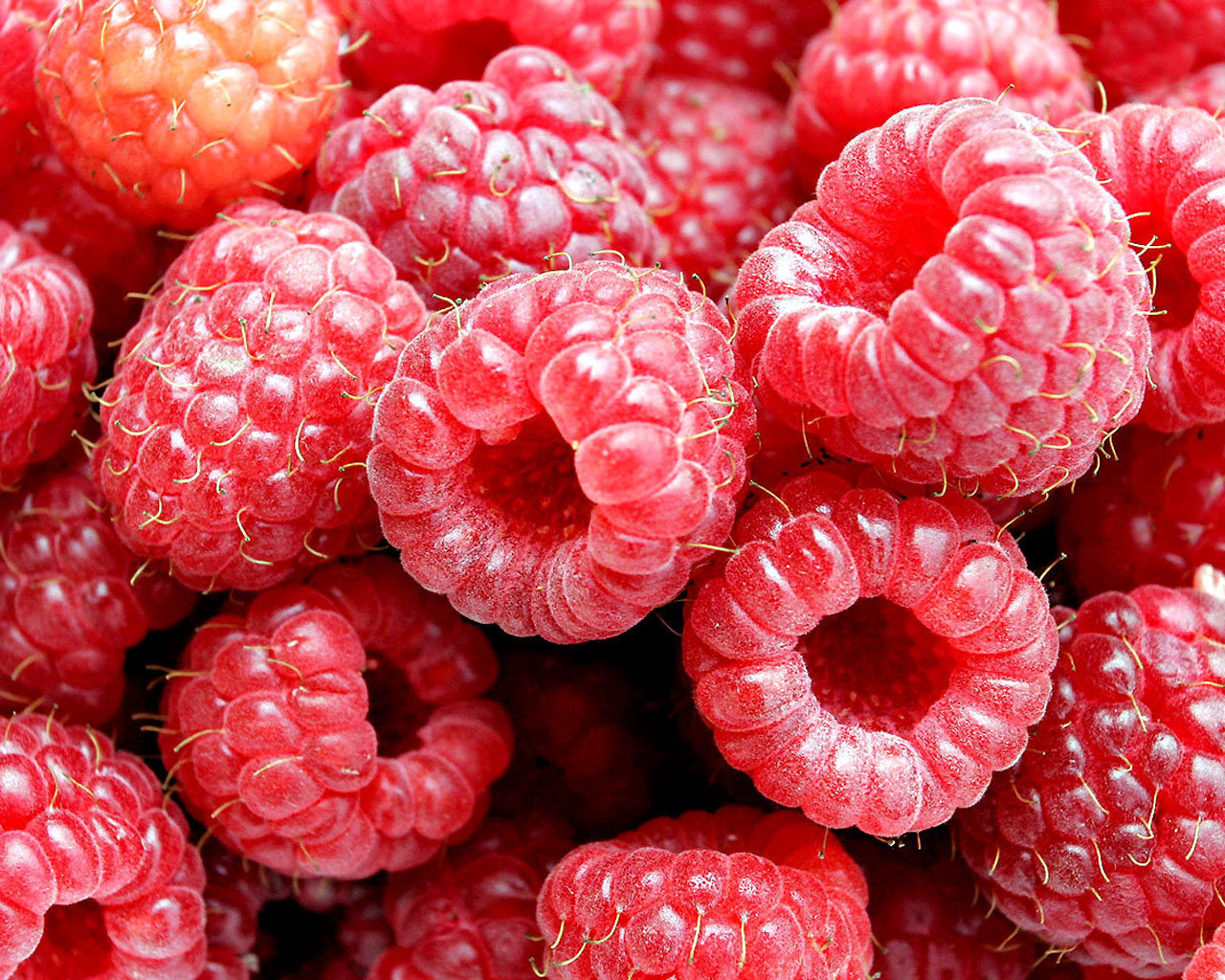 Raspberry - Food 1280x1024
