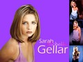 Sarah - sarah-michelle-gellar wallpaper