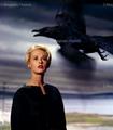 The Birds starring Tippi Hedren - classic-movies photo