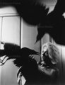 The classic thriller the birds - classic-movies photo