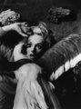 Tippi Hedren in The Birds - classic-movies photo