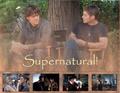 supernatural - supernatural fan art