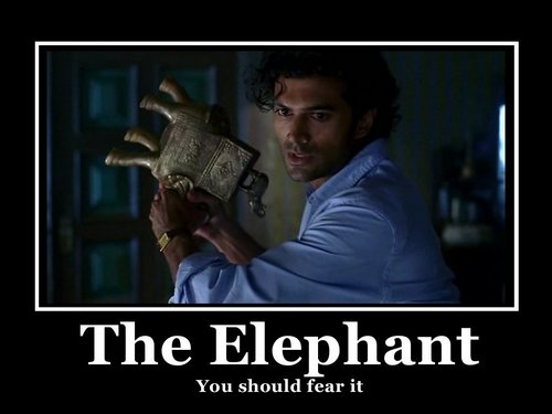  Fear The gajah