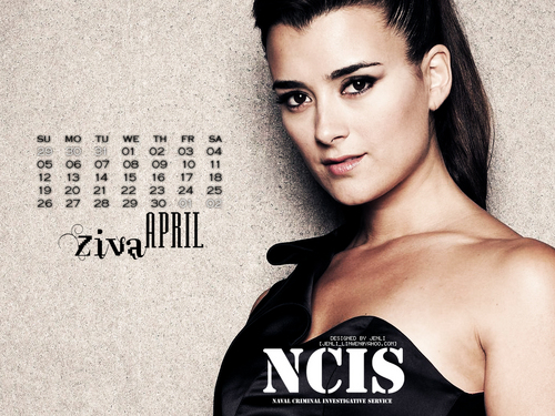 NCIS - Calendar 2009