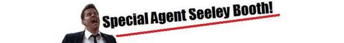  Special Agent Seeley Booth banner