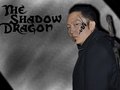 heroes - The Shadow Dragon wallpaper