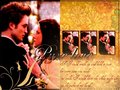 Edward & Bella - edward-and-bella wallpaper