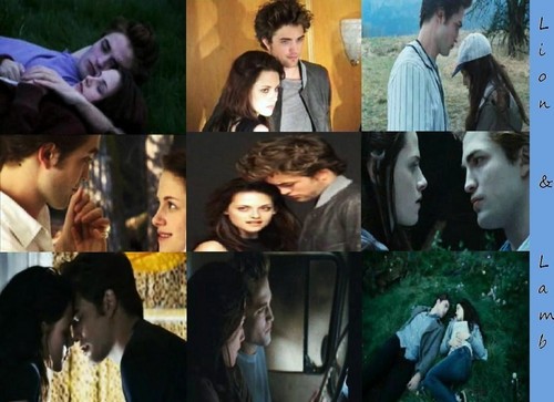  Edward & Bella