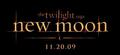 New Moon Title Art - twilight-series photo