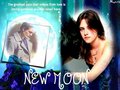 edward-and-bella - New Moon wallpaper