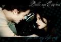 Bella and Edward - You are my life now - twilight-series fan art