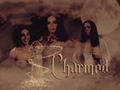 charmed - CHARMED wallpaper