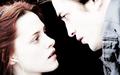 the-cullens - Edward and Bella wallpaper