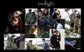 Twilight cast - twilight-series photo