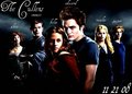 the cullens <3 - twilight-series photo