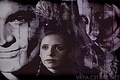 Cast( Buffy, Spike, Angel,etc) - buffy-the-vampire-slayer photo