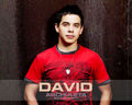 david-archuleta - David wallpaper