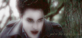 Edward: Drug to Me (n7of9) - twilight-series fan art