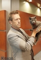 Here Kitty 5x18 - house-md photo