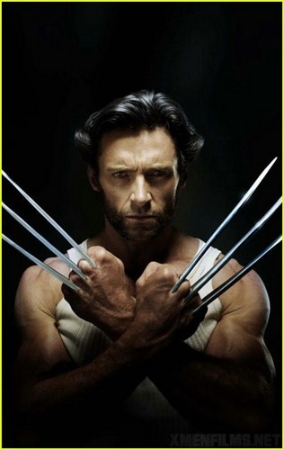 Hugh - Wolverine