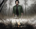supernatural - Supernatural wallpaper