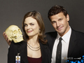 Brennan & Booth - bones wallpaper