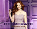 desperate-housewives - DH <3 wallpaper