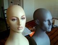 Female And Male - mannequins photo
