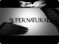 SPN Angel Starting - supernatural wallpaper