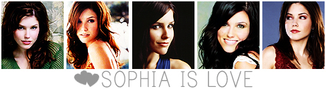  Sophia banner
