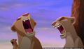the-lion-king-2-simbas-pride - The Lion King 2 screencap