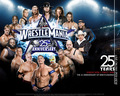 professional-wrestling - WrestleMania XXV wallpaper