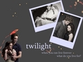 twilight  - twilight-series photo