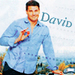 David  - david-boreanaz icon