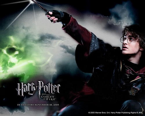  Harry Potter 4
