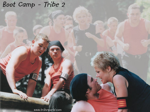 The Tribe 