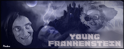Young Frankenstein (Click to see animation)