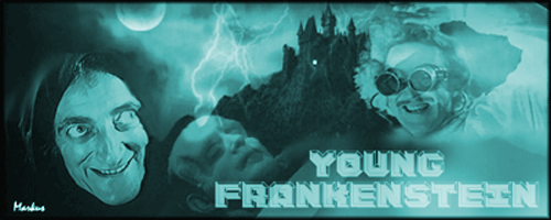 Young Frankenstein (click to see animation)