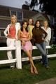 housewives - desperate-housewives photo