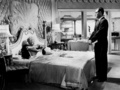 Born Yesterday (1950) - classic-movies photo