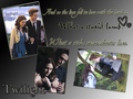 edward-and-bella - Edward&Bella♥ wallpaper