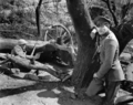 Sergeant York (1941) - classic-movies photo