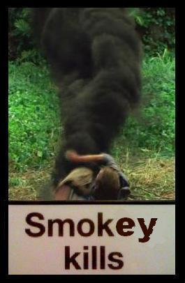  Smokey Kills