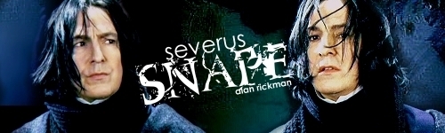  Snape banner