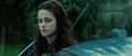 Twilight Movie - twilight-series screencap